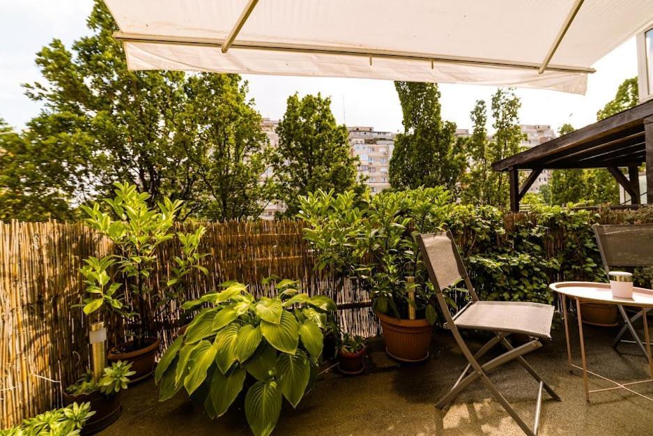 Eunice Apartament Oradea Exteriér fotografie